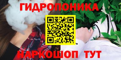 гашик Ипатово