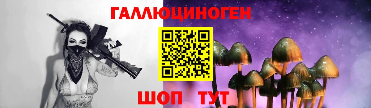 Псилоцибиновые грибы Psilocybine cubensis Азов